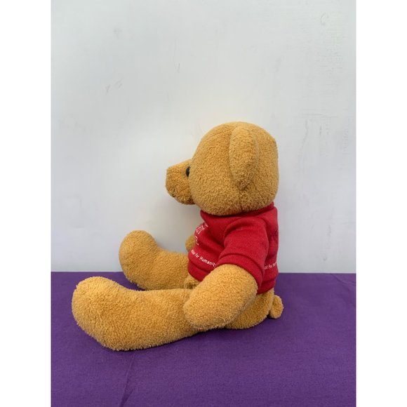 Habitat for Humanity Home Sweet Home 10 Inch Brown Bear Brown Eyes Plastic Beanb - Picture 7 of 9
